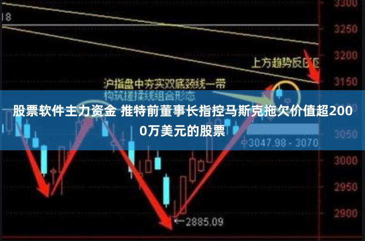 股票软件主力资金 推特前董事长指控马斯克拖欠价值超2000万美元的股票