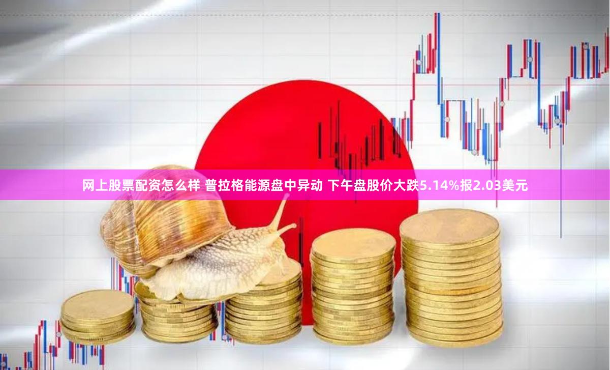 网上股票配资怎么样 普拉格能源盘中异动 下午盘股价大跌5.14%报2.03美元