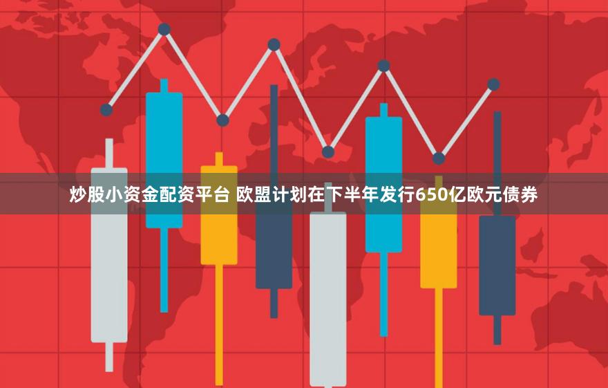 炒股小资金配资平台 欧盟计划在下半年发行650亿欧元债券